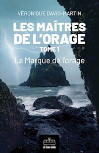 Les Maîtres de l'orage - Tome 1 - Véronique David-Martin - ebook
