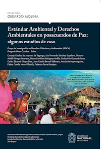 Estándar ambiental y derechos ambientales en posacuerdos de paz : algunos estudios de caso - Gregorio Mesa Cuadros - ebook