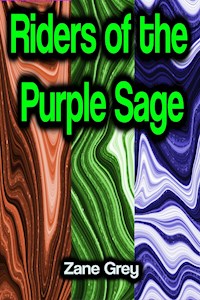 Riders of the Purple Sage - Grey Zane - ebook