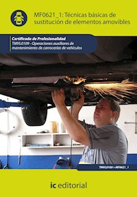 Técnicas básicas de sustitución de elementos amovibles. TMVL0109 - Fernando Jiménez Raya - ebook