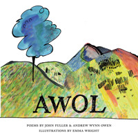 AWOL - John Fuller - ebook