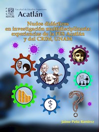 Nudos didácticos en investigación multidisciplinaria: experiencias de la FES Acatlán y del CRIM, UNAM - Jaime Peña Ramírez - ebook
