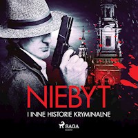 Niebyt i inne historie kryminalne - zbiorowa praca - audiobook