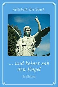... und keiner sah den Engel - Elisabeth Dreisbach - ebook