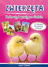 Zwierzęta Koloruję i rysuję po śladzie - Myślak Monika - książka