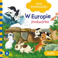 W Europie Podwórko Królik - Ewa Stadtmüller - książka