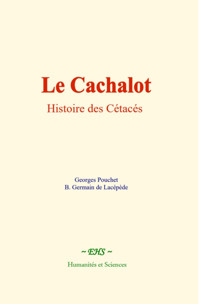 Le Cachalot - Georges Pouchet - ebook