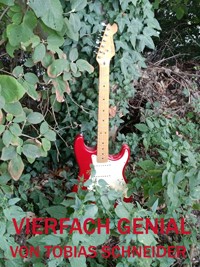 Vierfach Genial - Tobias Schneider - ebook