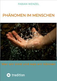 Phänomen im Menschen - Fabian Wenzel - ebook