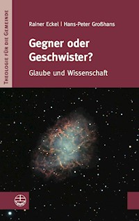 Gegner oder Geschwister? - Hans-Peter Großhans - ebook