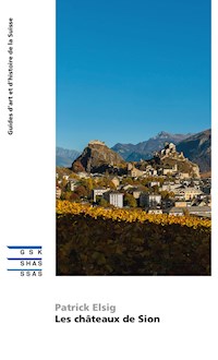 Les châteaux de Sion - Patrick Elsig - ebook