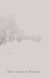 Zwei weitere Winter - Patrick Salmen - ebook