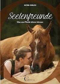 Seelenfreunde - Katrin Ehrlich - ebook