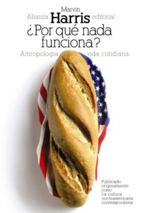 ¿Por qué nada funciona? - Harris Marvin - ebook