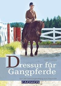 Dressur für Gangpferde - Kirsti Ludwig - ebook