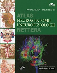 Atlas neuroanatomii i neurofizjologii Nettera - Felten David L., Shetty Anil N. - książka