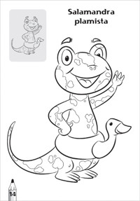 Tatrzańskie zwierzaki kolorowanka 2 sztuki -  - książka