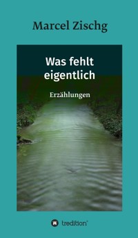 Was fehlt eigentlich - Marcel Zischg - ebook