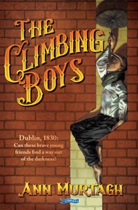 The Climbing Boys - Ann Murtagh - ebook