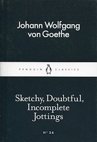Sketchy Doubtful Incomplete Jottings - Goethe Johann Wolfgang - książka