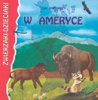 W Ameryce - Ewa Stadtmüller - książka