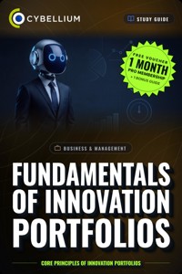 The Fundamentals of Innovation Portfolios - Cybellium - ebook