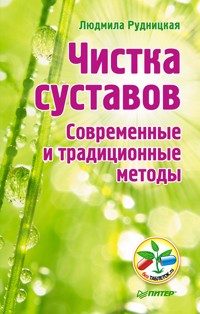 Чистка суставов. Современные и традиционные методы - Людмила Рудницкая - ebook