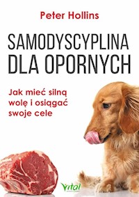 Samodyscyplina dla opornych - Hollins  Peter - książka