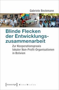 Blinde Flecken der Entwicklungszusammenarbeit - Gabriele Beckmann - ebook