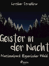 Geister in der Nacht. Nationalpark Bayerischer Wald - Lothar Streblow - ebook