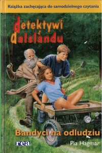 Detektywi z Dalslandu. Bandyci na odludziu - Pia Hagmar - ebook