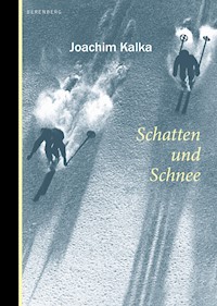 Schatten und Schnee - Joachim Kalka - ebook