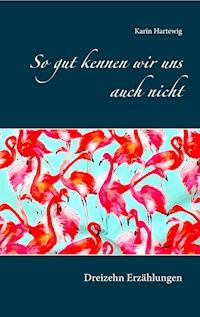 So gut kennen wir uns auch nicht - Karin Hartewig - ebook