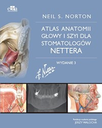 Atlas anatomii głowy i szyi dla stomatologów Nettera - Norton N.S. - książka