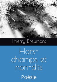 Hors-champs et non-dits - Thierry Dreumont - ebook