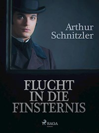 Flucht in die Finsternis - Arthur Schnitzler - ebook