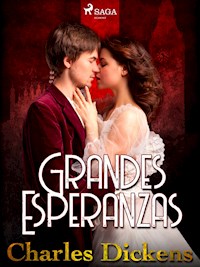 Grandes esperanzas  - Dickens Charles - ebook