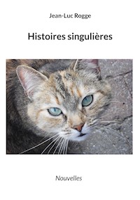 Histoires singulières - Jean-Luc Rogge - ebook