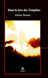 Dans la lave des Tempêtes - Jérôme Bonnet - ebook