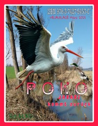 POKO - RAYMONDi - ebook