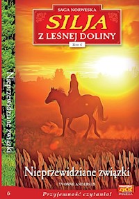 Silja z Leśnej Doliny Tom 6 - Andersen Yvonne - książka