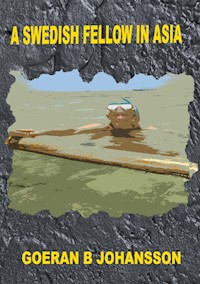 A Swedish Fellow in Asia - Goeran B Johansson - ebook