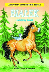 Białek i niesforny kociak Tom 11 - Rudolfsson Marie Louise - książka