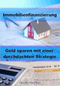 Immobilienfinanzierung – Geld sparen mit einer durchdachten Strategie - Erwin Godizo - ebook