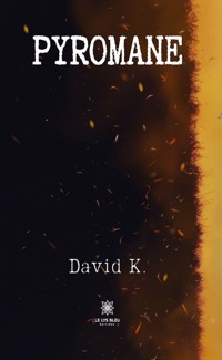 Pyromane - David K. - ebook