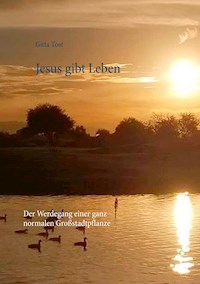 Jesus gibt Leben - Gitta Tost - ebook