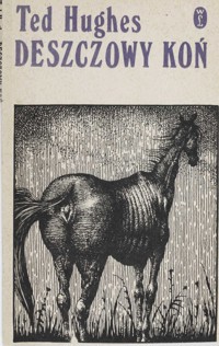 Deszczowy koń - Hughes Ted - ebook