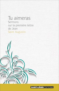 Tu aimeras - Tome 1 - Augustin d’Hippone - ebook
