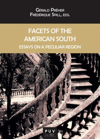 Facets of the American South - Autores varios - ebook