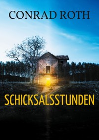 Schicksalsstunden - Conrad Roth - ebook